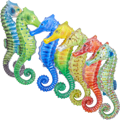 Large Decorative Sea Horse wall Plaque, Assorted Colors