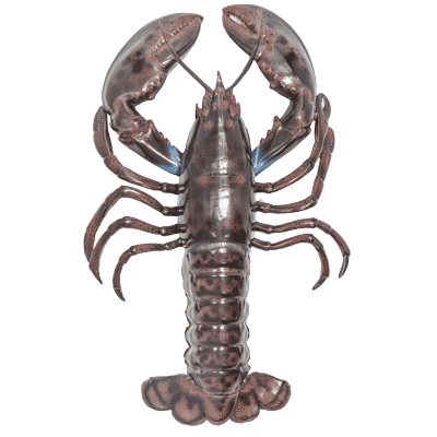 Decorative Lobster, assorted colors, 18 inch long