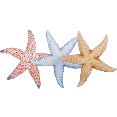 Decorative Starfish, Assorted Colors, 6 inch long