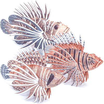 Decorative Lion Fish, assorted colors, 6 inch