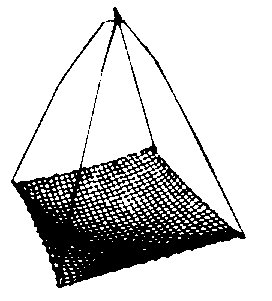 Crawfish Net
