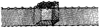 Vintage Minnow Seine Fishing Net Drag Net W/ 3 Weights & 2 Floats